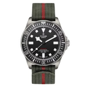 Фото 62 - Tudor Pelagos m25717n-0001