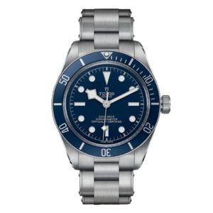 Фото 22 - Tudor Black Bay m79030b-0001